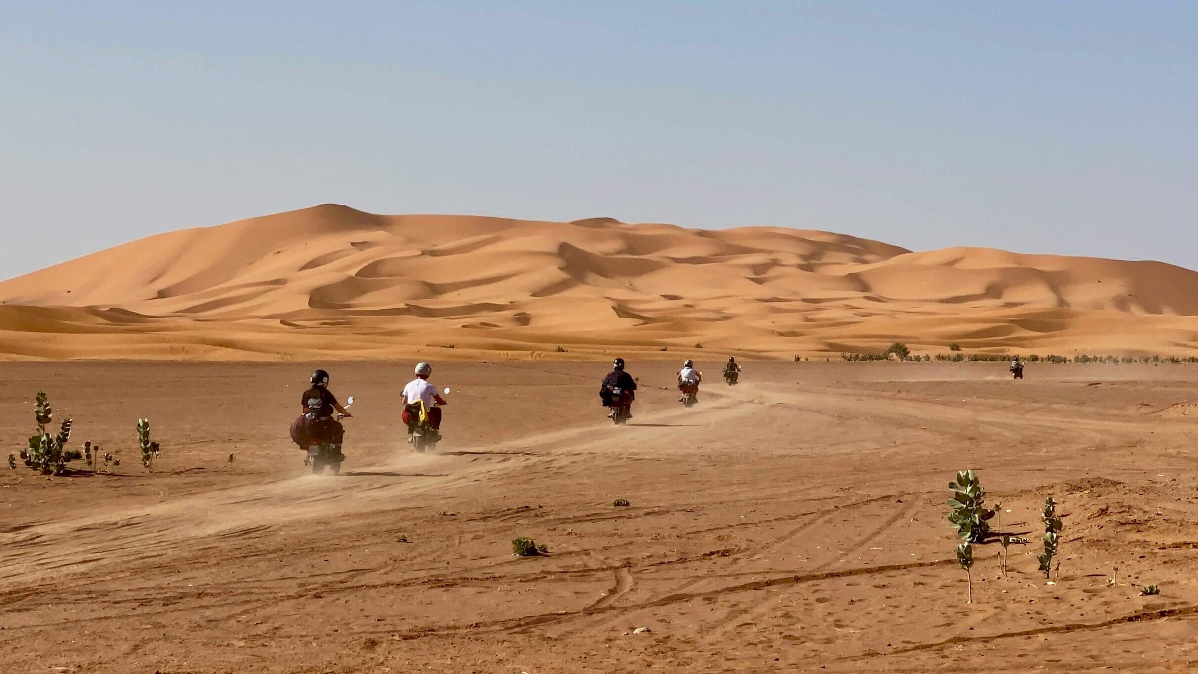 The Details: Monkey Run Morocco - The Adventurists